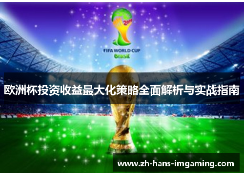 欧洲杯投资收益最大化策略全面解析与实战指南