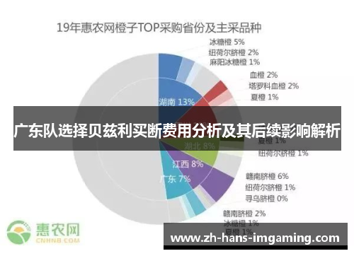 广东队选择贝兹利买断费用分析及其后续影响解析