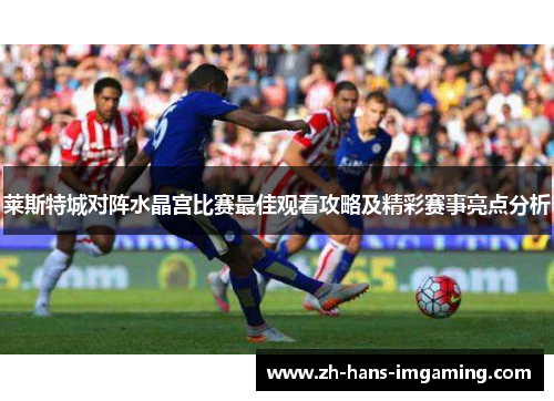 莱斯特城对阵水晶宫比赛最佳观看攻略及精彩赛事亮点分析